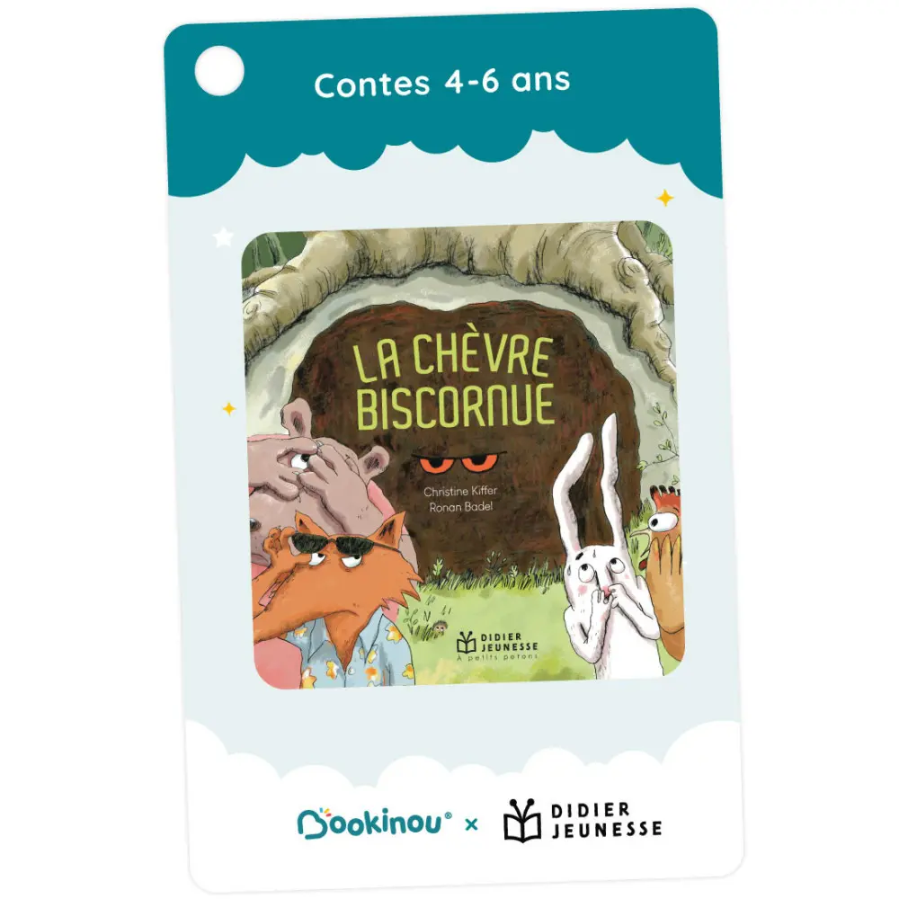 Contes 4-6 ans - 5 histoires de Didier Jeunesse