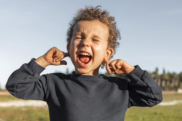 Comment affronter la crise des 2 ans ? - Bookinou (Pimely)