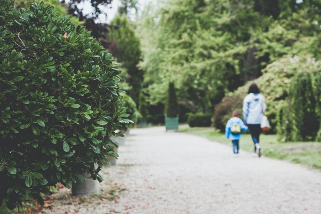 Comment parler d'écologie aux enfants ? - Bookinou