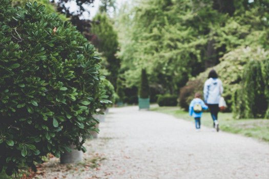 Famille monoparentale : comment organiser le quotidien ? - Bookinou (Pimely)