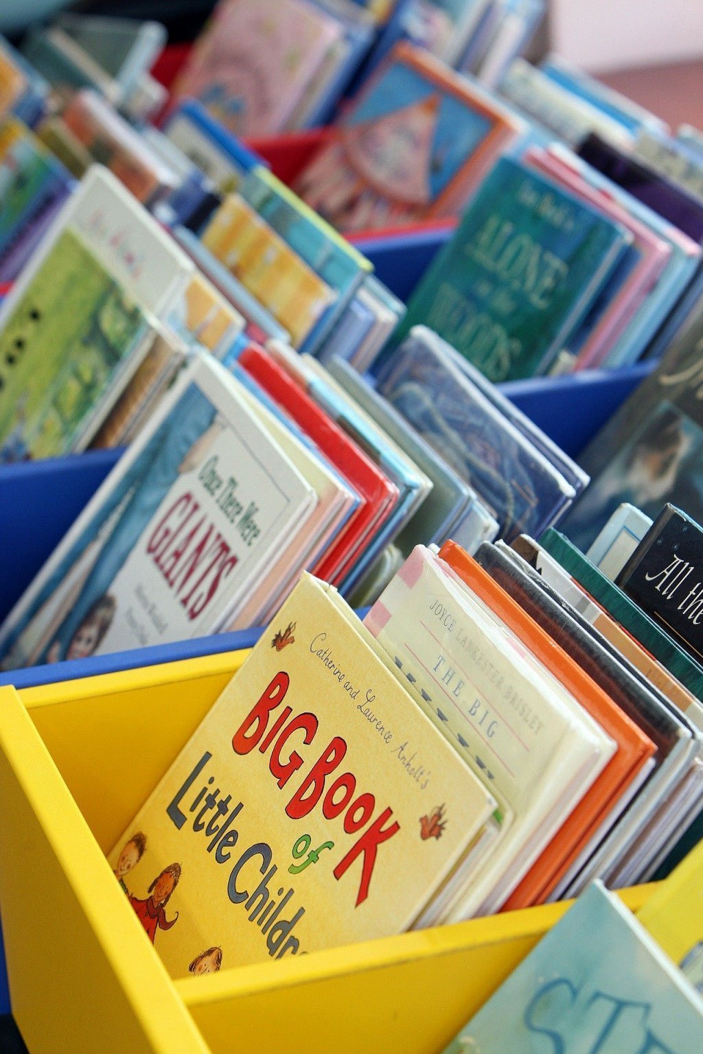 Top 10 des meilleurs livres pour les enfants de 6 ans - Bookinou