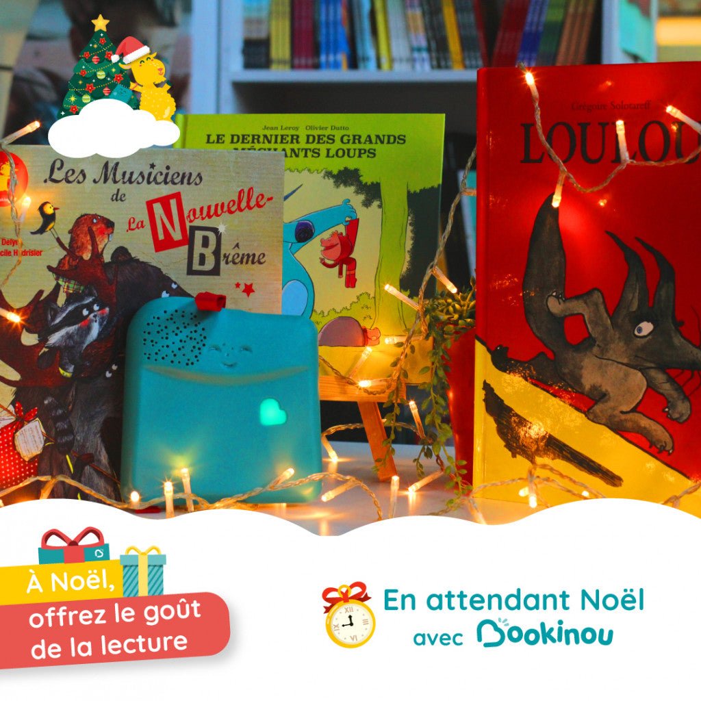 Top 5 des raisons pour lesquelles il faut glisser un Bookinou sous le sapin ! - Bookinou (Pimely)