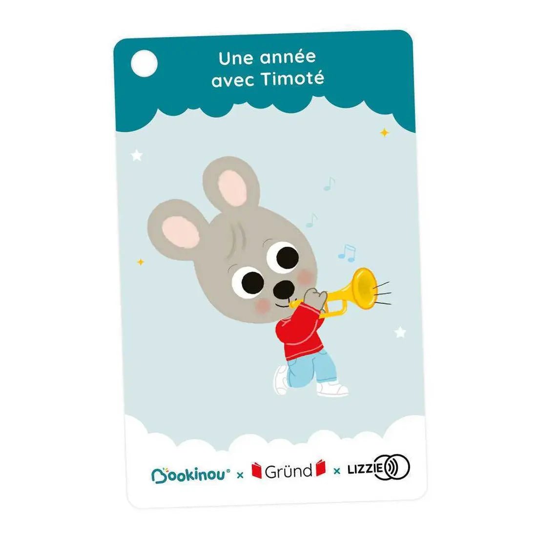 Une année avec Timoté - 5 histoires de Lizzie - Bookinou (Pimely)