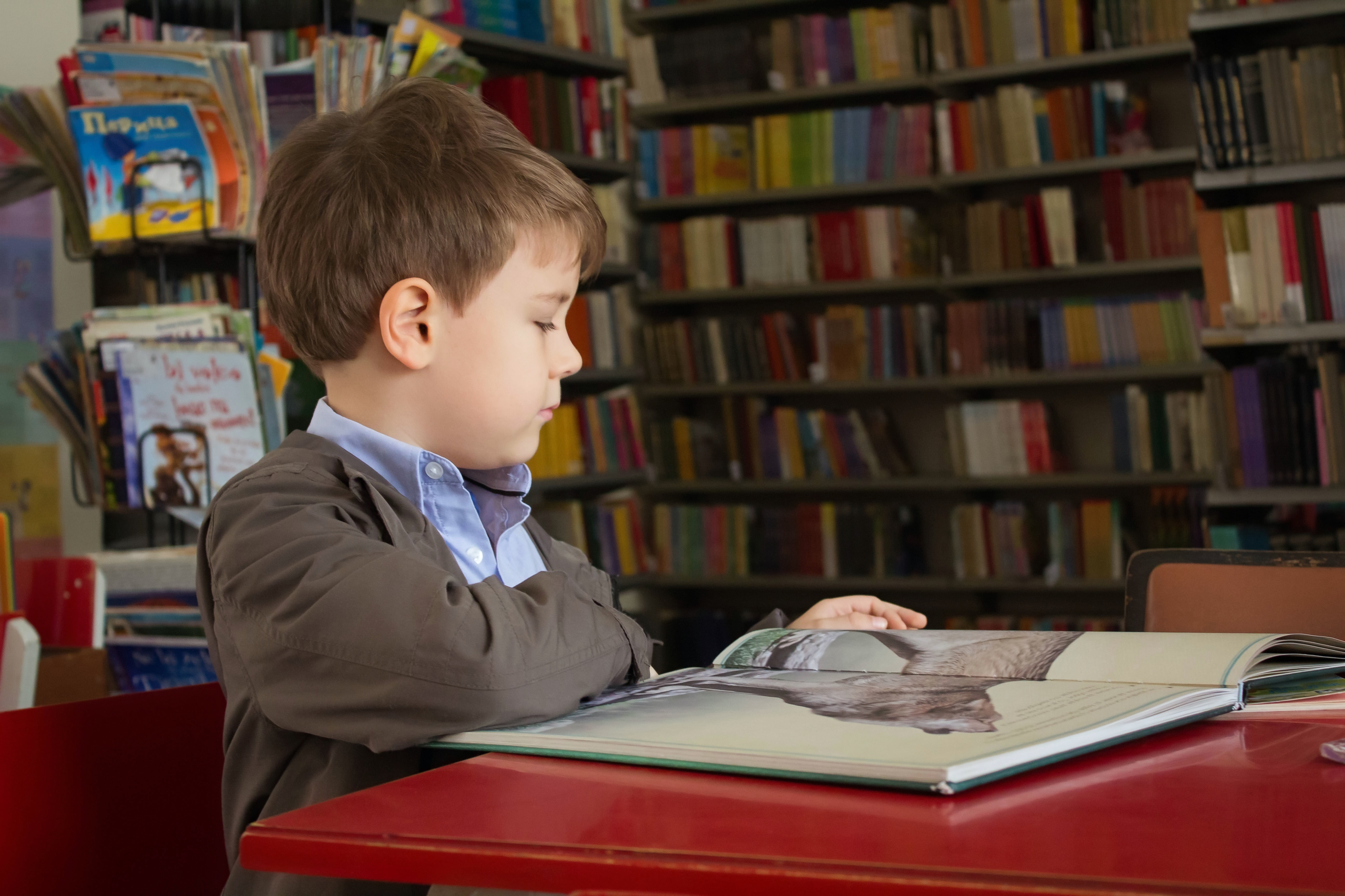 La lecture du soir avec les enfants et la conteuse d'histoires Bookinou