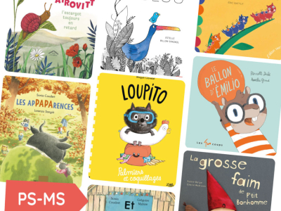 LA MALLE DU BOOKINEUR DE BOOKINOU